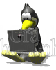 illustration - penguin_type_laptop_md_wht-gif